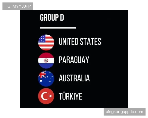 世界杯美国队D组战术打法分析 世界杯美国队D组战术打法分析